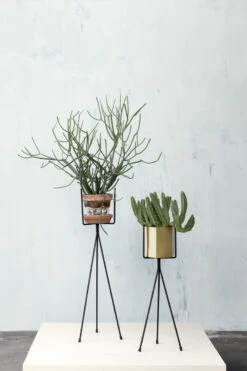 Ferm LIVING Plant Stand Kukkateline, Iso, Musta -Terassitalo Kauppa 05 3994