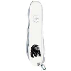 Teemu Järvi Illustrations Victorinox Linkkuveitsi, Karhu