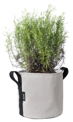 Bacsac Kangasruukku, Luonnonvalkoinen 11 Bacsac Kangasruukku, Luonnonvalkoinen -Terassitalo Kauppa 157371 1 Pot 10 L BACSACAE