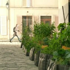 Bacsac Bacsquare 4 Kangasruukku, 140 L, Geotekstiili -Terassitalo Kauppa 15Bacsac iso