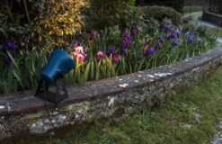 Martinelli Luce Frog Outdoor Valaisin, Sininen -Terassitalo Kauppa 20210611103929 cf84fa25 me