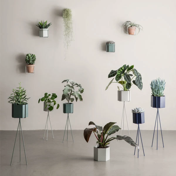 Ferm LIVING Plant Holder Kasviteline, Musta 4 Ferm LIVING Plant Holder Kasviteline, Musta - Image 2