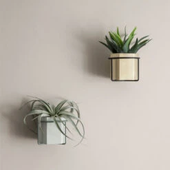 Ferm LIVING Plant Holder Kasviteline, Musta 9 Ferm LIVING Plant Holder Kasviteline, Musta -Terassitalo Kauppa 654FermLiving iso