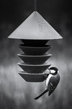 Pidät Bird Silo Lintulauta, Terrakotta 12 Pidät Bird Silo Lintulauta, Terrakotta -Terassitalo Kauppa BIRD SILO LIFESTYLE 9C