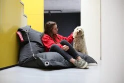 Fatboy Fatboy Buggle Up Outdoor Säkkituoli, Thunder Grey -Terassitalo Kauppa FATBOY buggle up outdoor indoor dog landscape JPG RGB