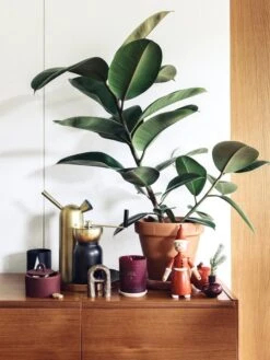 Klong Svante Kastelukannu, Messinki 10 Klong Svante Kastelukannu, Messinki -Terassitalo Kauppa Fds joulu1718 media