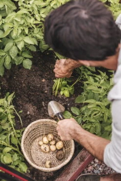 Fiskars Xact Istutuslapio, Leveä -Terassitalo Kauppa Fiskars Garden Action Summer Harvest Xact Trowel 1027043 01