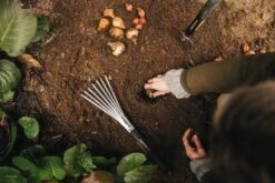Fiskars Xact Istutustalikko -Terassitalo Kauppa Fiskars Garden Action Xact Trowel Hand rake 1027043 1027044