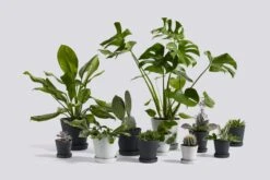 HAY Flowerpot Ruukku Ja Lautanen, L, Musta -Terassitalo Kauppa Flowerpot Family