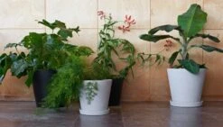 HAY Flowerpot Ruukku Ja Lautanen XXL, Harmaa 8 HAY Flowerpot Ruukku Ja Lautanen XXL, Harmaa -Terassitalo Kauppa Flowerpot XXL XXXL 1