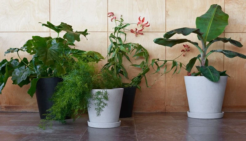 HAY Flowerpot Ruukku Ja Lautanen XXL, Harmaa 5 HAY Flowerpot Ruukku Ja Lautanen XXL, Harmaa - Image 3