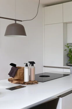 Dear Waste Astianpesuaine, 500 Ml, Sitruuna - Rosmariini -Terassitalo Kauppa IMG 5275