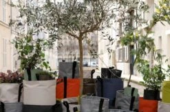 Bacsac Kangasruukku, Luonnonvalkoinen 13 Bacsac Kangasruukku, Luonnonvalkoinen -Terassitalo Kauppa InSitu04