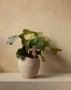 MENU Hydrous Kastelupiikki, 36 Cm, 2 Kpl -Terassitalo Kauppa MENU Plantas Planter Hydrous Watering Stick