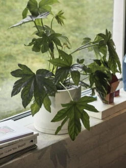 HAY Plant Pot Ruukku Ja Lautanen, XXL, Valkoinen -Terassitalo Kauppa Plant Pot with Saucer off white