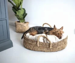 Tikau Doggy Koiranpeti, M -Terassitalo Kauppa Tikau TKU DOGGY BASKET 2