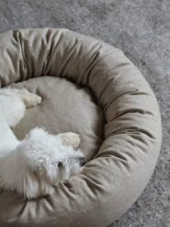 Matri Koiranpeti, M, Wooly, Ivory Melange -Terassitalo Kauppa Unto Rautio 25 10 19 Matri 2794 web 1