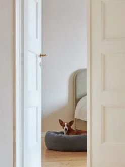 Matri Koiranpeti, S, Wooly, Grafiitti 13 Matri Koiranpeti, S, Wooly, Grafiitti -Terassitalo Kauppa Unto Rautio 25 10 19 Matri 8016 web 2