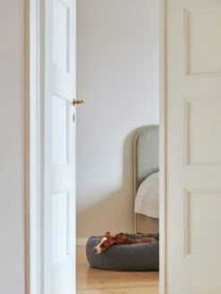 Matri Koiranpeti, L, Wooly, Grafiitti -Terassitalo Kauppa Unto Rautio 25 10 19 Matri 8045 web