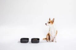 Venandi Design Pet Bowl Ruokakuppi, Puulastu -Terassitalo Kauppa Venandi Design pet bowl 78 EE