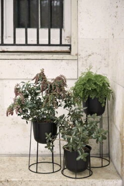 MENU Wire Ruukku, Musta 12 MENU Wire Ruukku, Musta -Terassitalo Kauppa Wire Pot Location 01 Download 300dpi JPG 28RGB29 228846