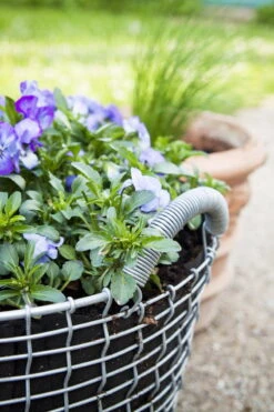 Korbo Istutuspussi 24, 3 Kpl -Terassitalo Kauppa korbo Classic 24 Pansy